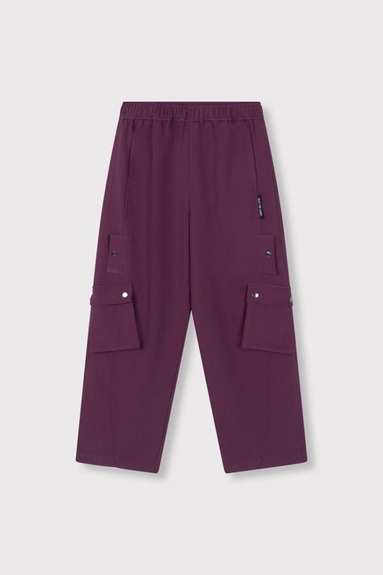 Woven Cargo Pants aubergine