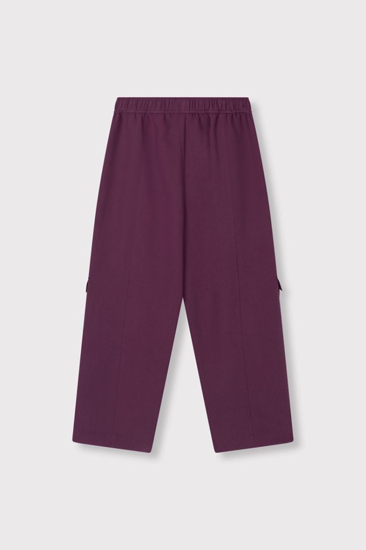 Woven Cargo Pants aubergine