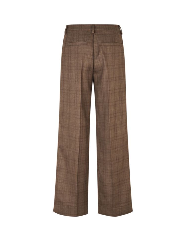 Laslo Cassatt brown falcon ch